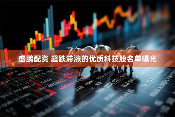 盛鹏配资 超跌滞涨的优质科技股名单曝光