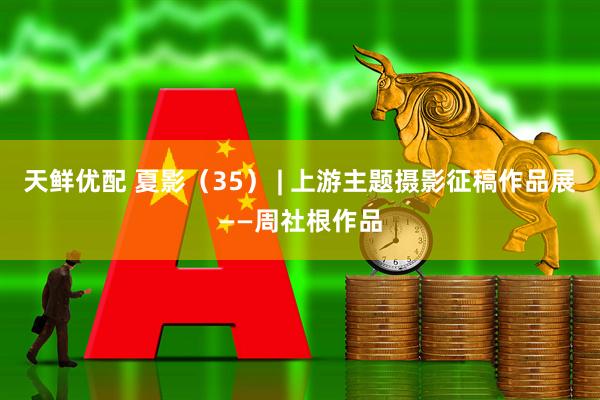 天鲜优配 夏影（35） | 上游主题摄影征稿作品展——周社根作品