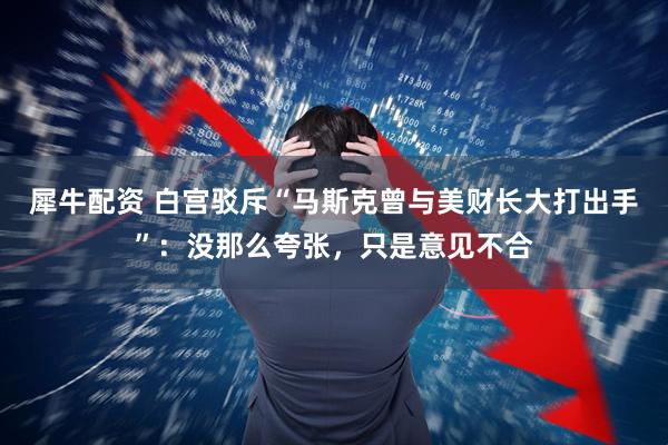 犀牛配资 白宫驳斥“马斯克曾与美财长大打出手”：没那么夸张，只是意见不合