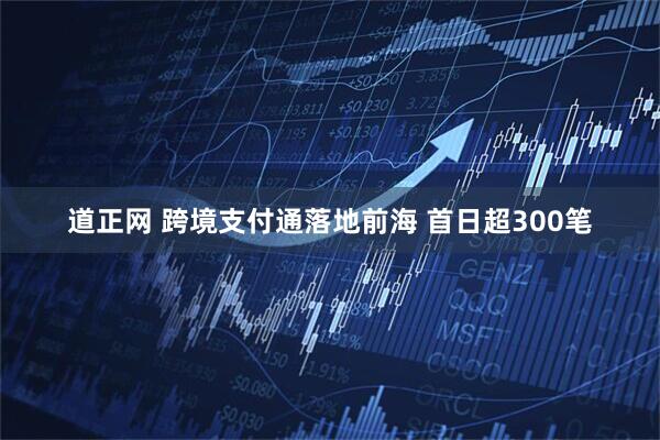 道正网 跨境支付通落地前海 首日超300笔