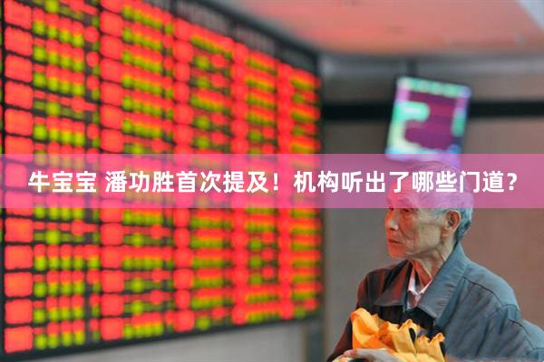 牛宝宝 潘功胜首次提及！机构听出了哪些门道？