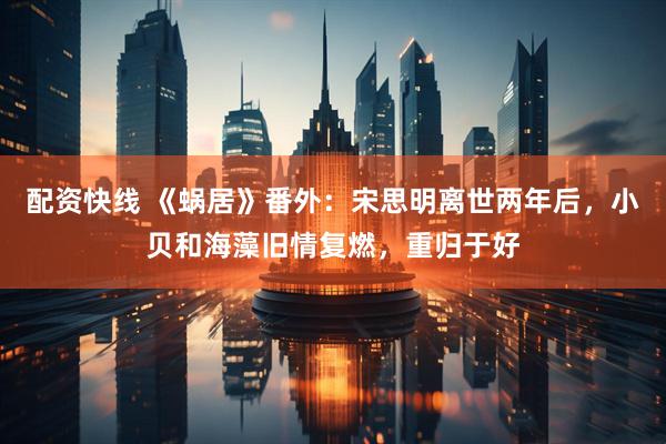 配资快线 《蜗居》番外：宋思明离世两年后，小贝和海藻旧情复燃，重归于好
