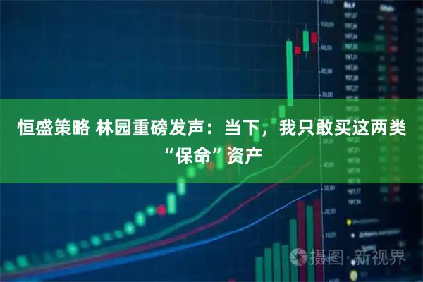 恒盛策略 林园重磅发声：当下，我只敢买这两类“保命”资产