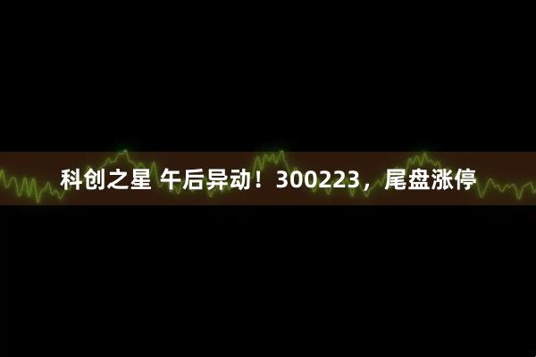 科创之星 午后异动！300223，尾盘涨停