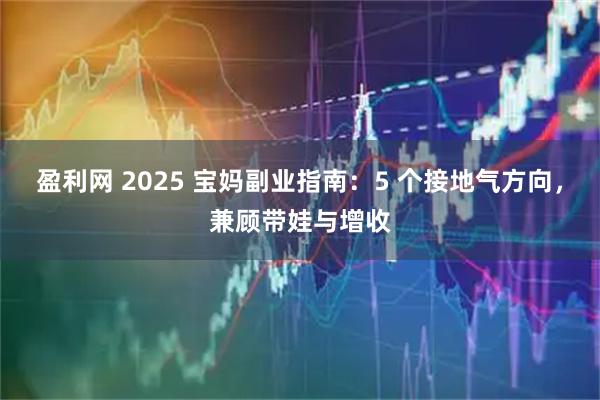盈利网 2025 宝妈副业指南：5 个接地气方向，兼顾带娃与增收