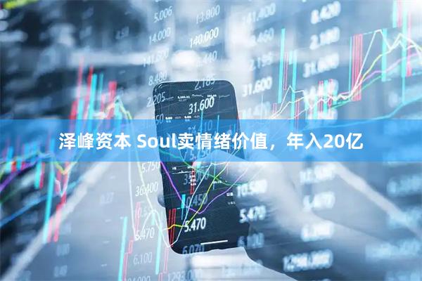 泽峰资本 Soul卖情绪价值,年入20亿