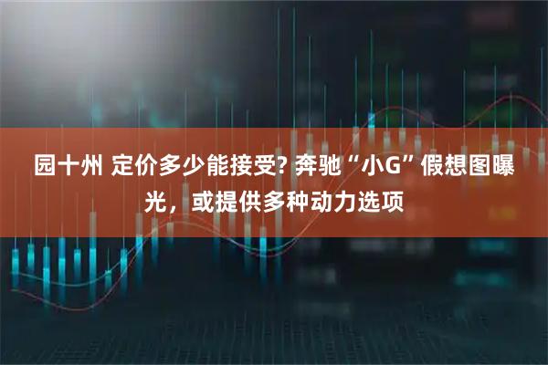 园十州 定价多少能接受? 奔驰“小G”假想图曝光,或提供多种动力选项