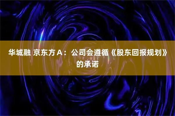 华城融 京东方Ａ：公司会遵循《股东回报规划》的承诺